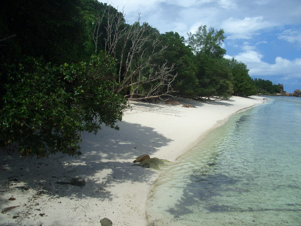 Strand im Hotel La Digue Island Lodge