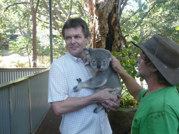 Mit Koala