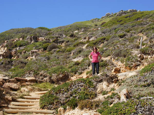 Cape of Good Hope Scenic Walk