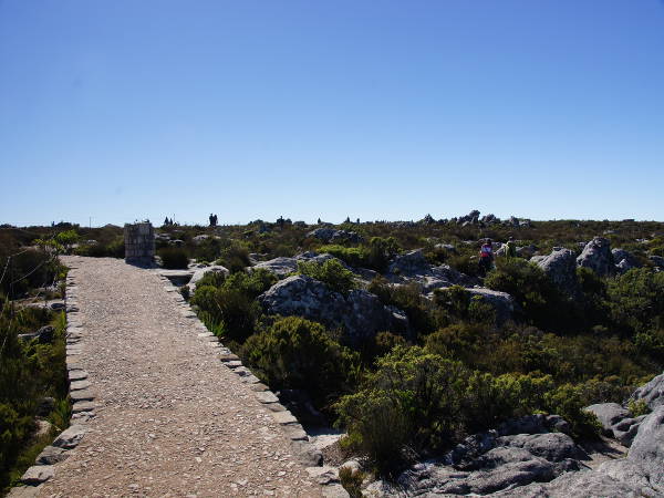 Tafelberg (4)