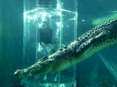 Darwin - Crocosaurus Cove