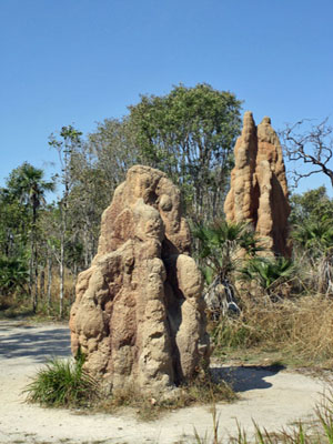 Litchfield National Park - Termite Mounts Litchfield National Park - Termite Mounts