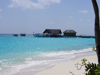 Palm Beach - Blick auf den Strand