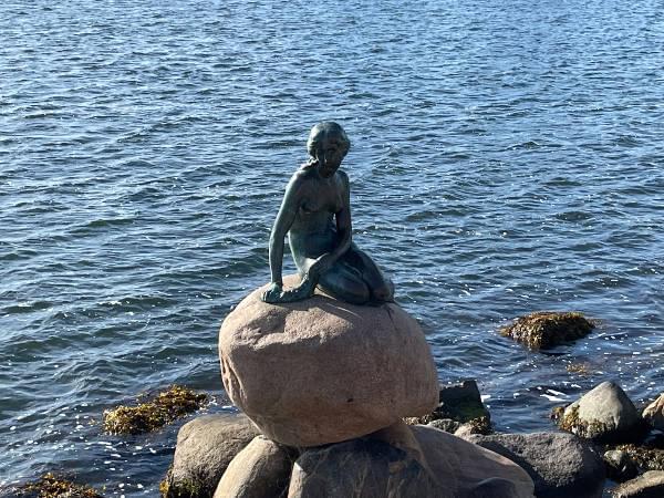 Die kleine Meerjungfrau - ein Wahrzeichen Kopenhagens Die kleine Meerjungfrau - ein Wahrzeichen Kopenhagens