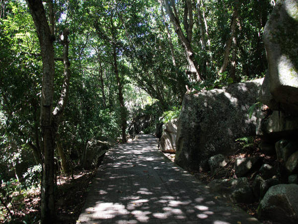 Weg zum Grand' Anse Weg zum Grand' Anse