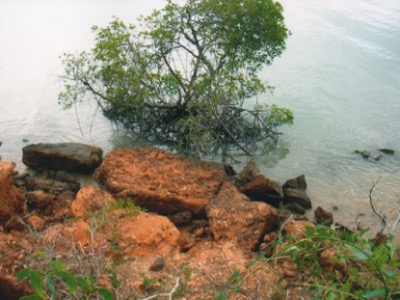 Arnhem Land - Felsplateau