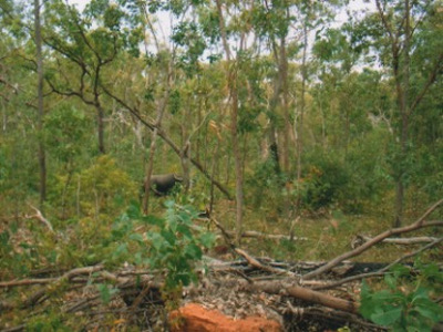 Arnhem Land