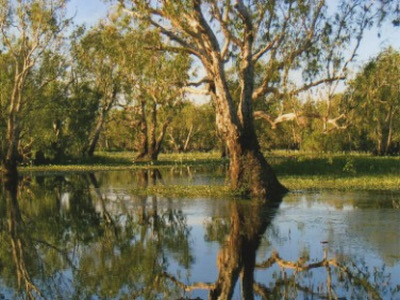 Kakadu National Park