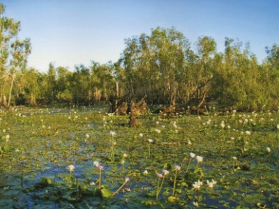 Kakadu National Park