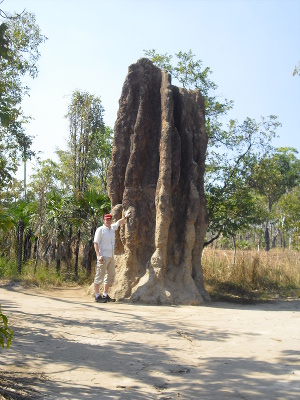 Termite Mounts Termite Mounts