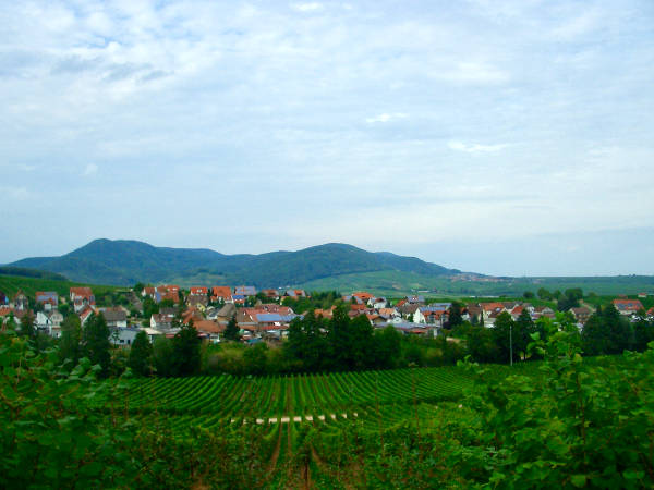 Pfalzpanorama