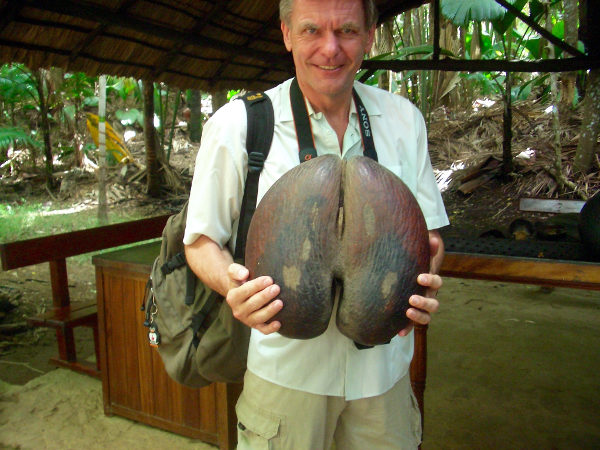 Coco de Mer Coco de Mer