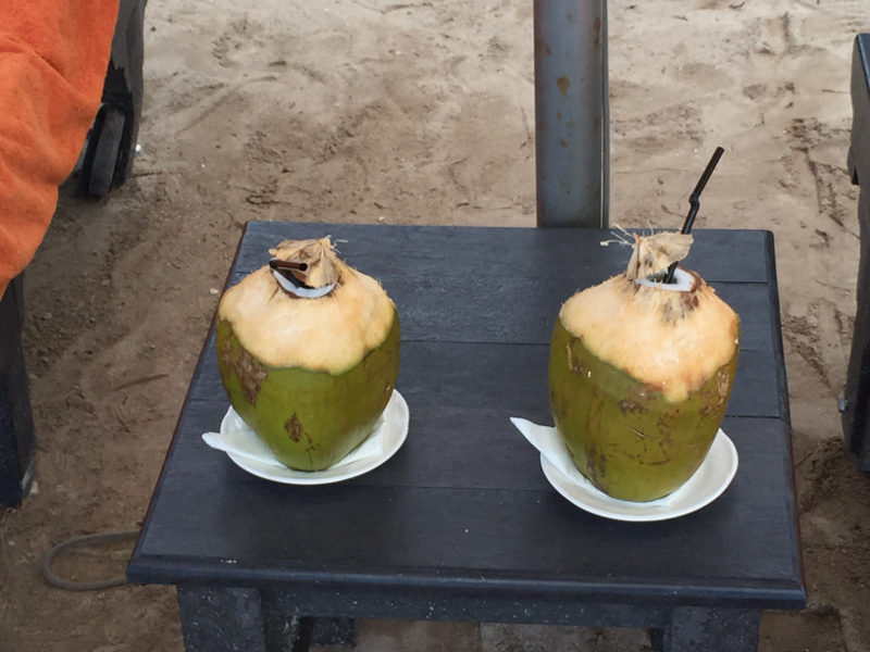 Kokosnuss Kokosnuss