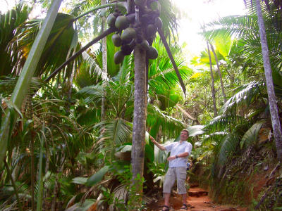 Vallee de Mai Vallee de Mai