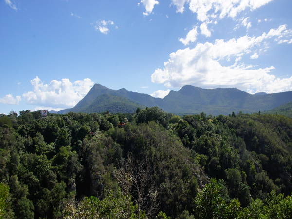 Tsitsikamma NP Tsitsikamma NP