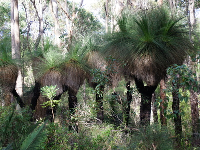 Margaret River - Vegetation